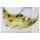 Eulenspiegel Wimpern Gelbe Federn mit schwarzen Punkten - SALE